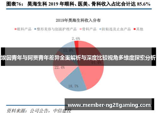 埃因青年与阿贾青年差异全面解析与深度比较视角多维度探索分析 埃因青年与阿贾青年差异全面解析与深度比较视角多维度探索分析